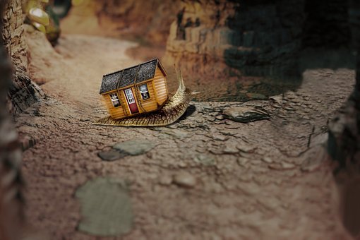 Free Snail House photo and picture