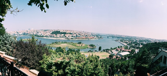Free Goldenhorn Pierreloti photo and picture