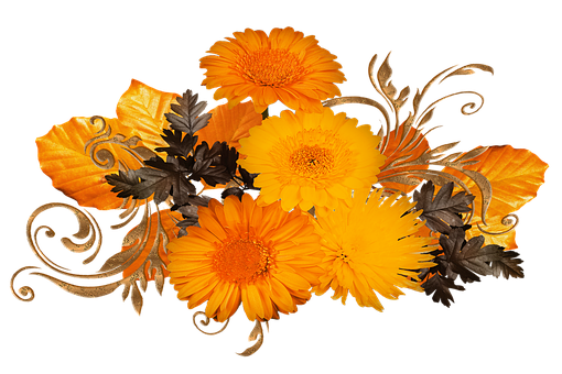 黄色の花 花に関する300以上の無料イラスト Pixabay