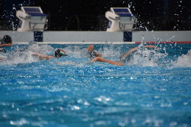 Free Swimming Swimming Pool photo and picture