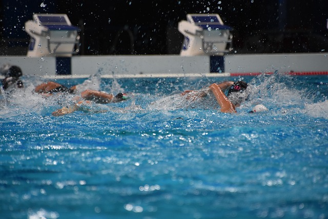 Free Swimming Swimming Pool photo and picture