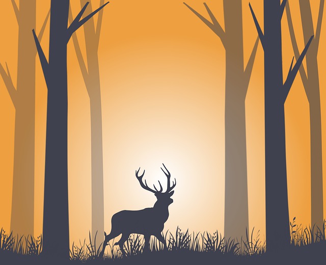 Hirsch, Bäume, Wald, Gras, Tierwelt