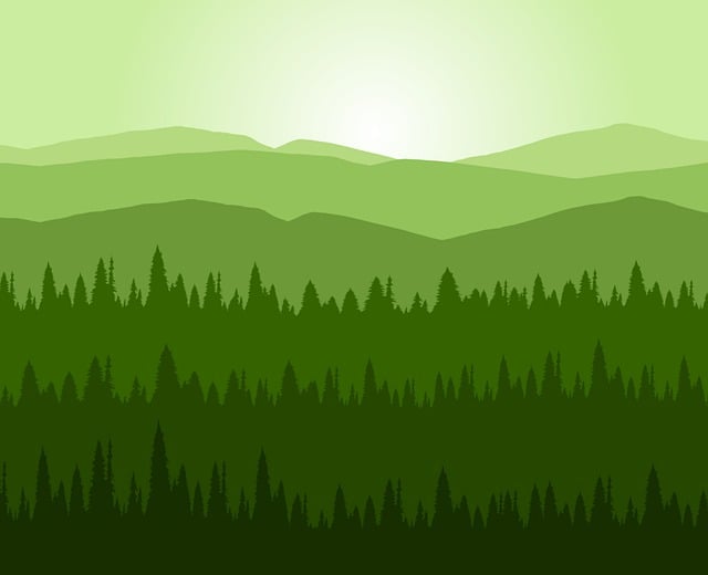 Free trees forest woods illustration
