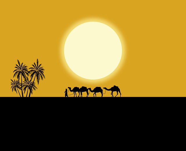 Download free HD stock image of Camels Palm Free camels palm palm trees illustration