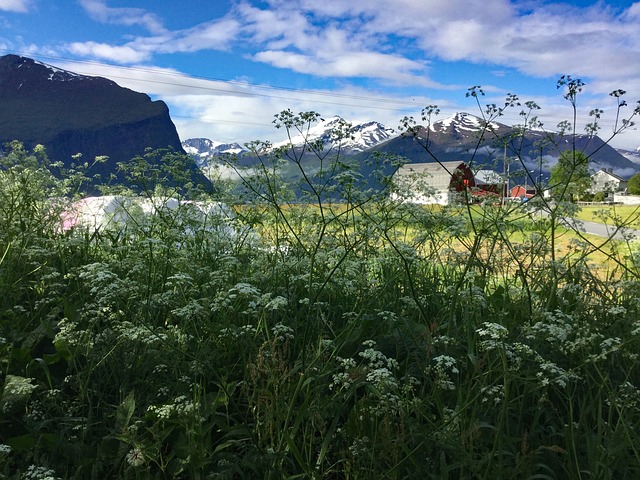 Free Norge Clouds photo and picture