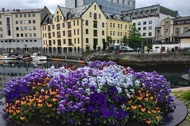 Free Norway City photo and picture