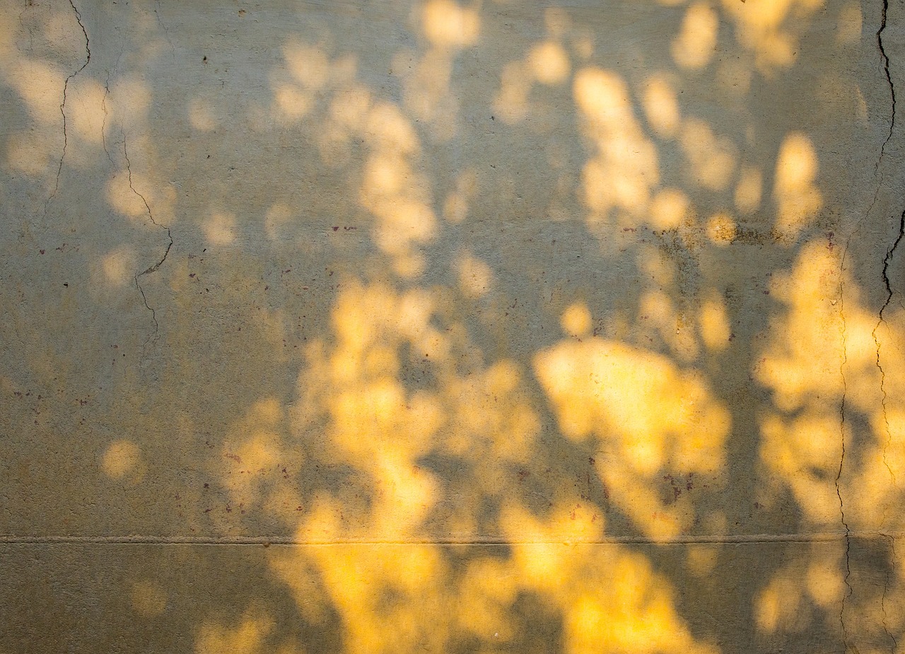 Syfy Sol Texture Texture Du Sol De Fissure - Photo gratuite sur Pixabay - Pixabay