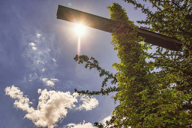 Free Graveyard Cross photo and picture