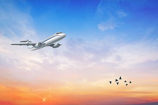 Fly, Fugle, Solnedgang, Natur, Skyer
