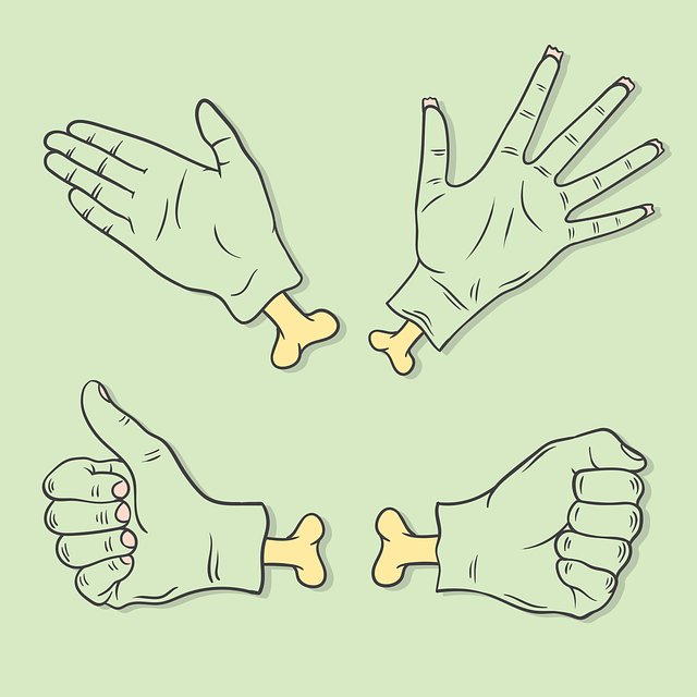 Free Hands Bones vector and picture
