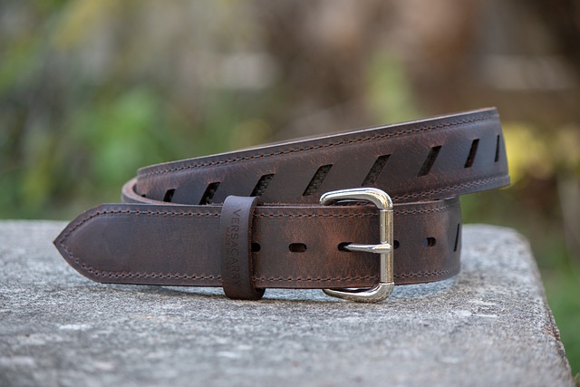 Free Belt Leather Belt photo and picture