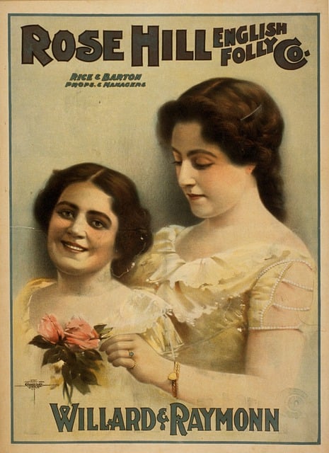 Frauen, Modelle, Rosen, Spitze, Haar