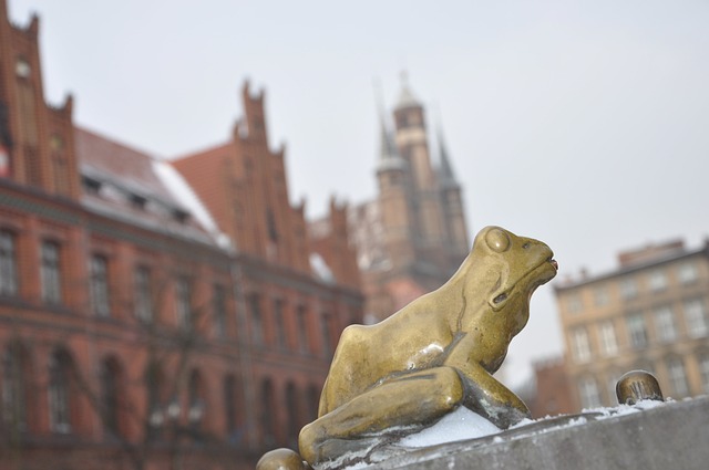 Free Frog Copper photo and picture