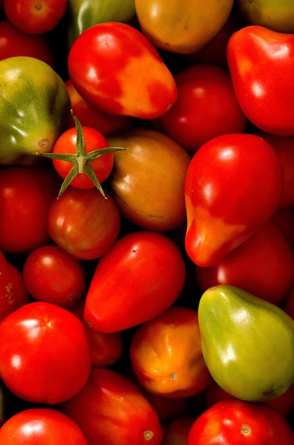 Free Tomatoes Vegetable photo and picture