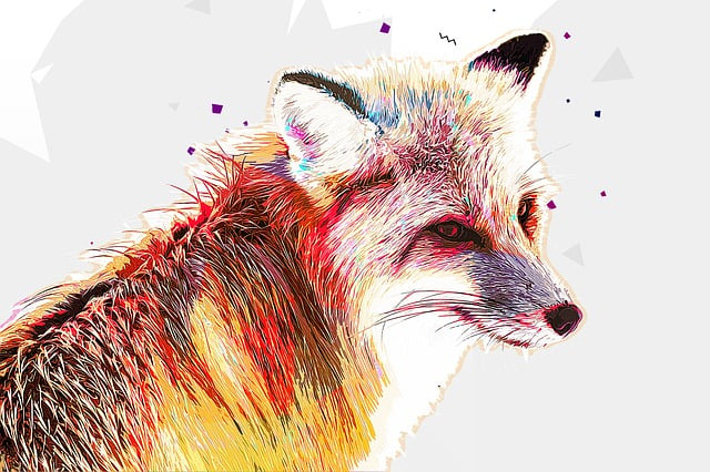 Red Fox, Дикая Природа, Портрет, Природа