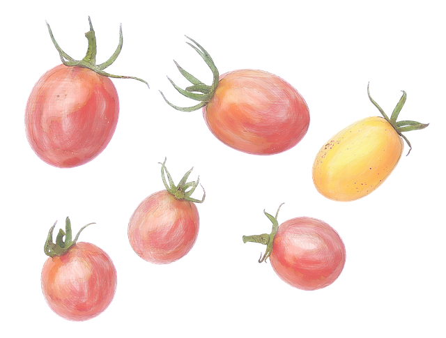 Tomates, Acuarela, Tomates Cherry, Fruta