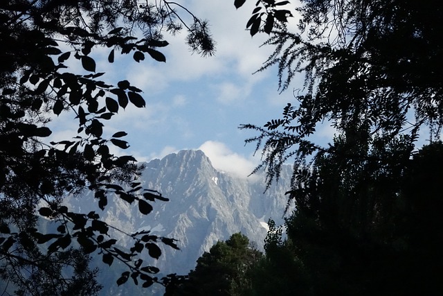 Free Foliage Mountains photo and picture