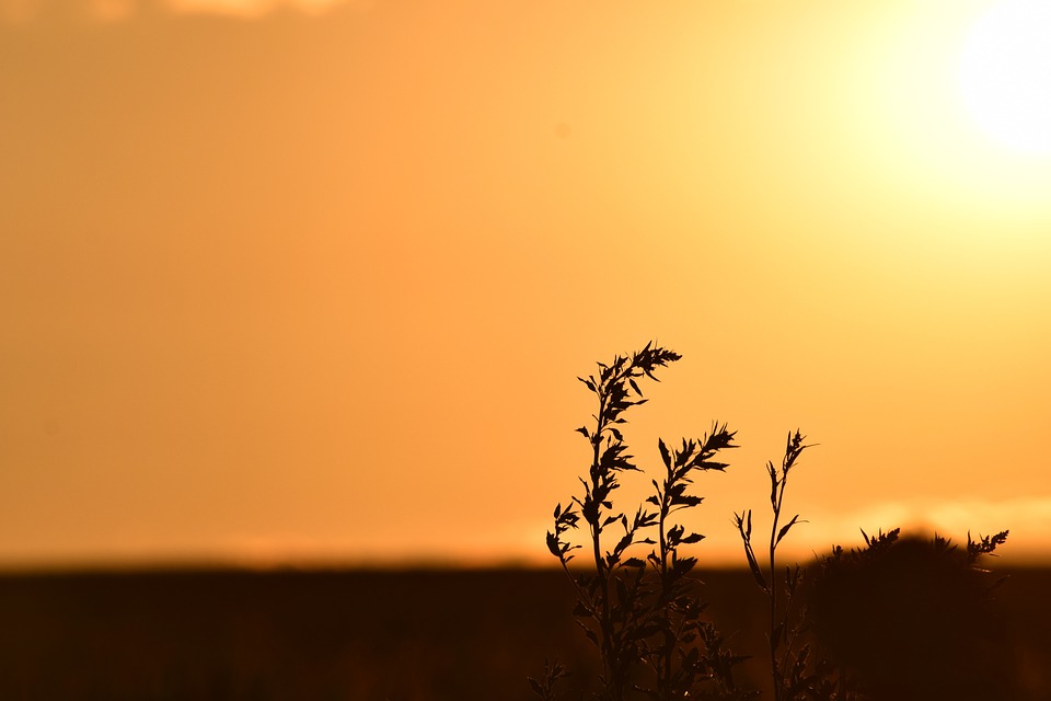 Antecedentes Sol De La Tarde - Foto gratis en Pixabay - Pixabay