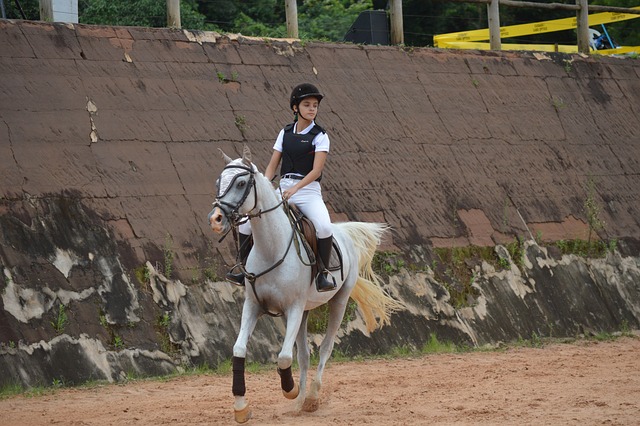 Free Horse Horseback Riding photo and picture