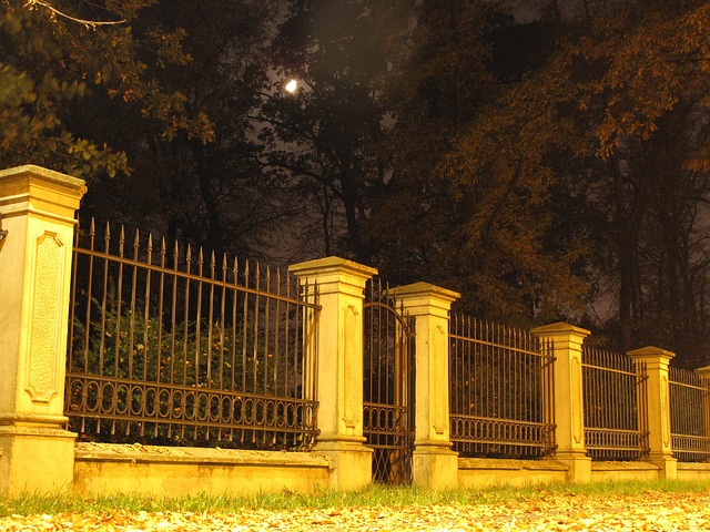 Free Night Moon photo and picture