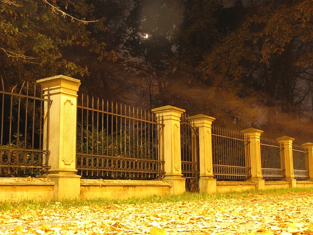 Free Night Moon photo and picture