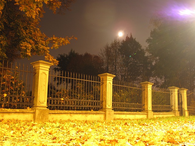 Free Night Moon photo and picture