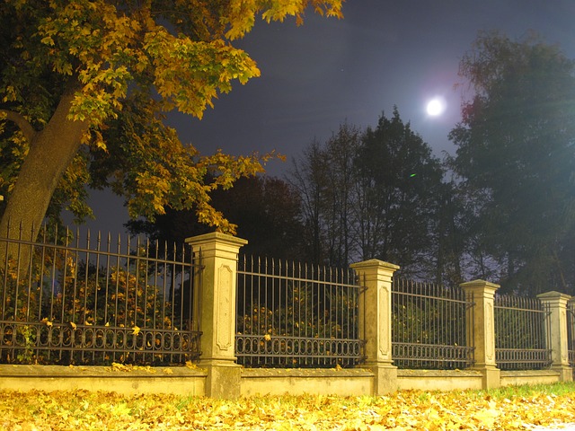 Free Court Park photo and picture