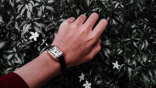 Se, Klokke, Blomster, Hender, Brunfarge