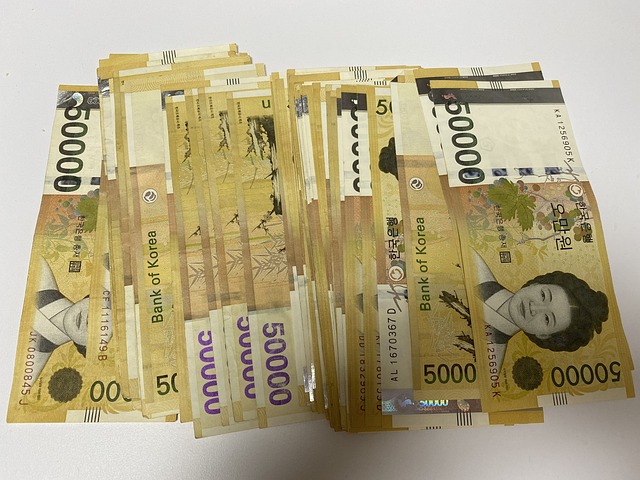 Free Korean Money Money photo and picture