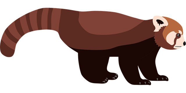 Free red panda panda animal vector