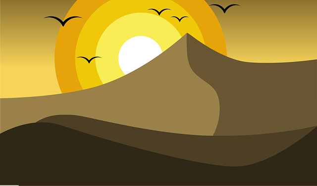 Free landscape desert sunset illustration
