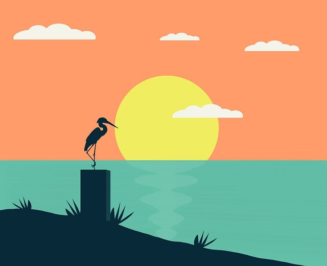 Free sunset waterscape bird illustration