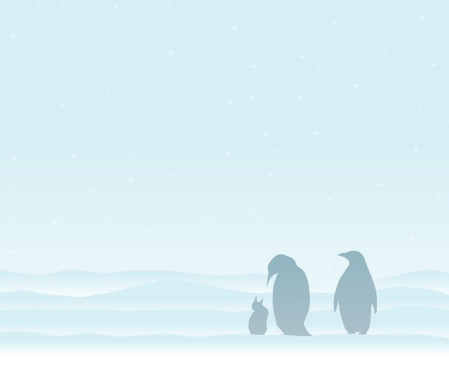 Free sea seashore penguin illustration