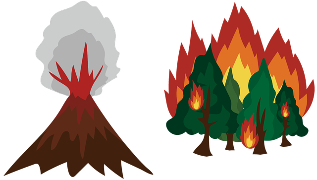 Free disaster hazard forest fires illustration