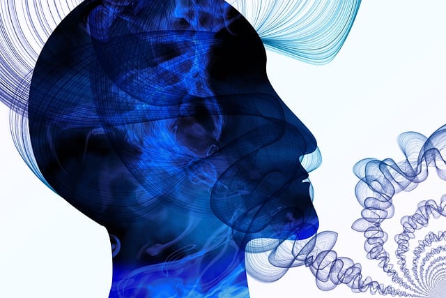 Free silhouette head face illustration