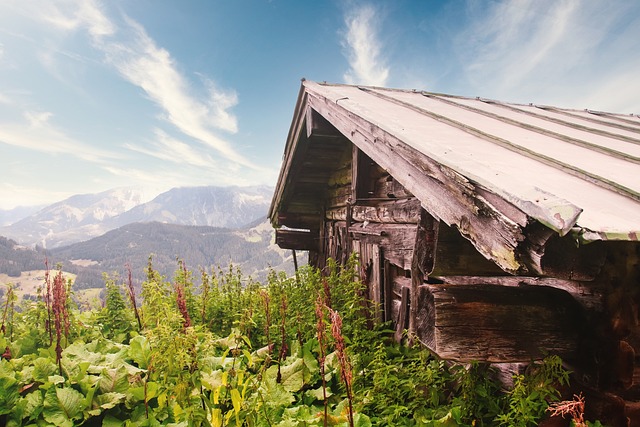 Free Old Hut Alm photo and picture