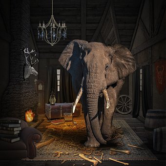 Elefant, Tusk, Dyr, Brann, Hjort, Horn