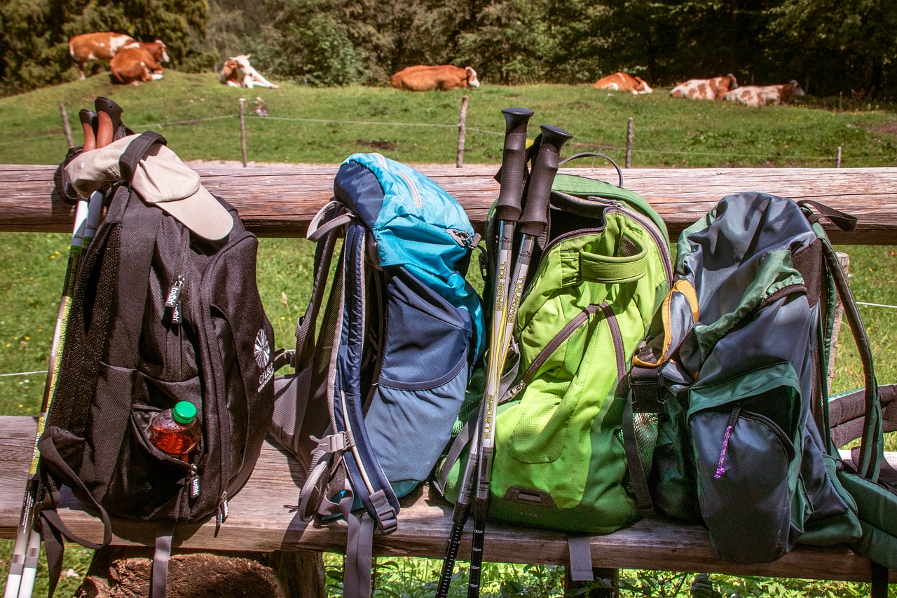 Backpacks Hiking Mountains Wooden - Free photo on Pixabay - Pixabay