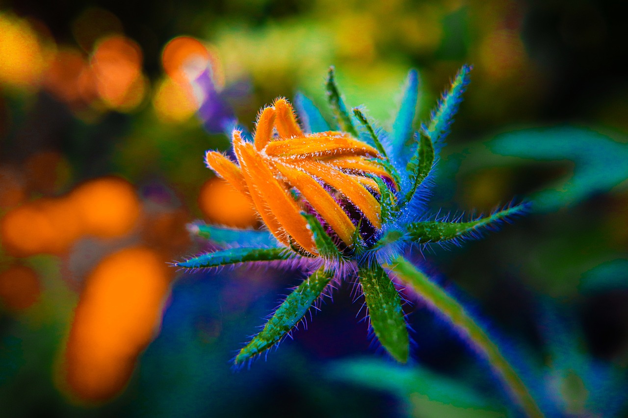 Macro - free online jigsaw puzzle photo