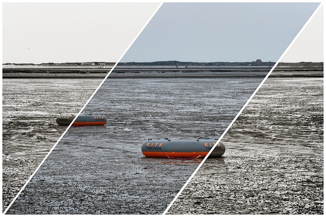 Free North Sea Ebb photo and picture