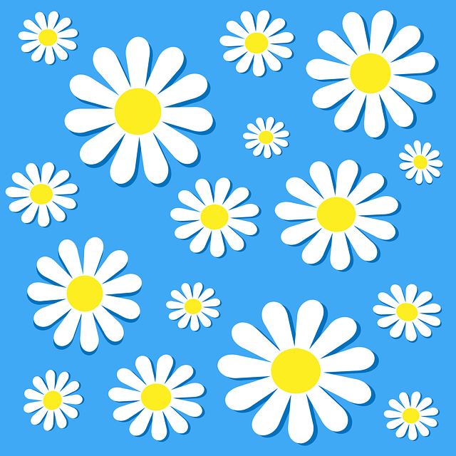 Download free HD stock image of Chamomile Flowers Free chamomile flowers background vector