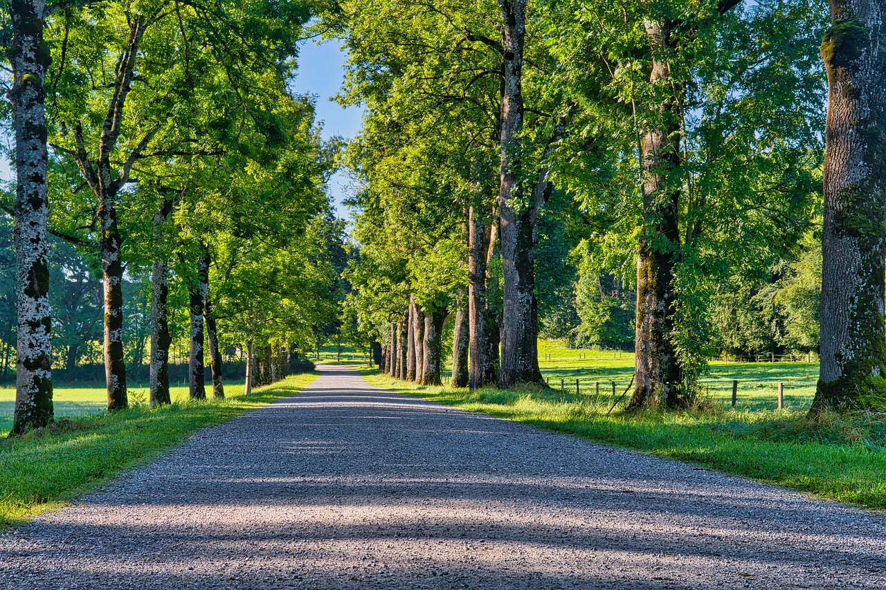 Download free HD stock image of Lane Path Free Lane Path photo and picture