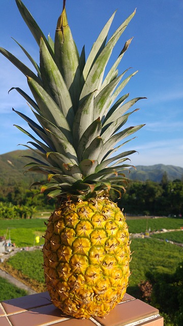 Piña Tropical Campo - Foto gratis en Pixabay