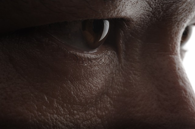 Free Eyes Face photo and picture