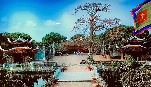 Free Vanhoa Tree photo and picture
