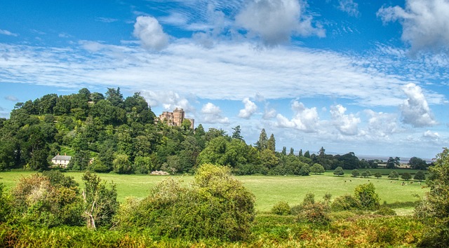 Free Dunster Castle Dunster photo and picture