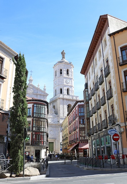 Free Cathedral Valladolid photo and picture