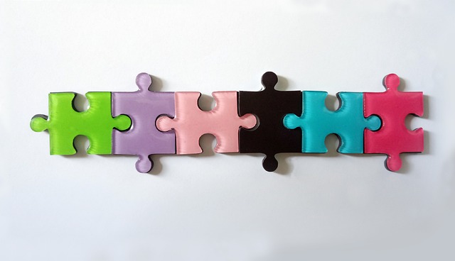 Free Puzzle Process photo and picture
