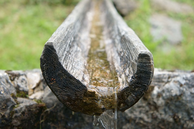 Free Fountain Drink photo and picture