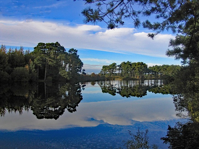 Free Reservoir Scotland photo and picture